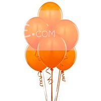 Orange Latex Balloons (Pack of 20)
