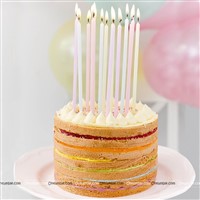 Pastel Straight Candles (Pack of 8 )