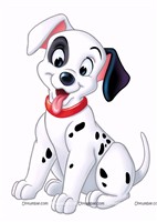 Dalmatian puppy poster