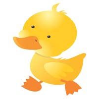 Duck cutout