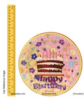 Cake with Candle Birthday Party plates (Pack of 10 )