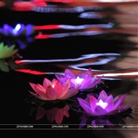 Lotus Shaped Water sensor Lights