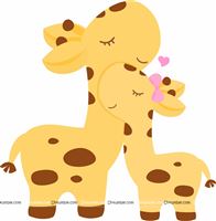Grey Giraffe baby and mother