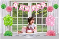 Girl 1st Birthday Cake Smash Photo Shoot kit (Pack of 17 pieces)
