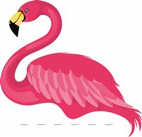 Beautiful Flamingo Poster