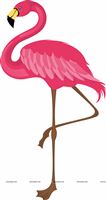 Standing Flamingo One Leg