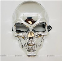 Silver skeleton face Mask