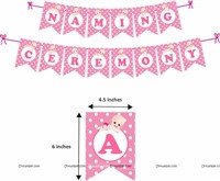 Pink Naming Ceremony Arch Kit