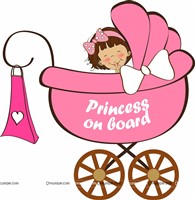 Princess on board poster