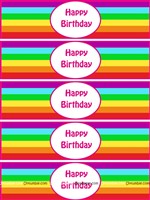 Rainbow Birthday theme Wristbands