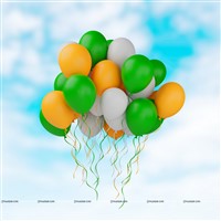Tricolour Balloons (Pack of 60)