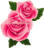 Rose Floral Cutout